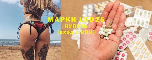 прущие грибы Белоозёрский