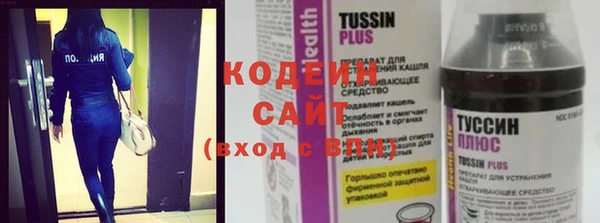 шишки Мегион