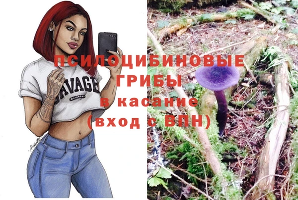 МДПВ Краснослободск