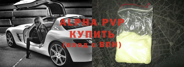 прущие грибы Белоозёрский